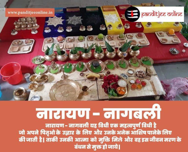 Narayanbali Pitrushraddh Vidhi