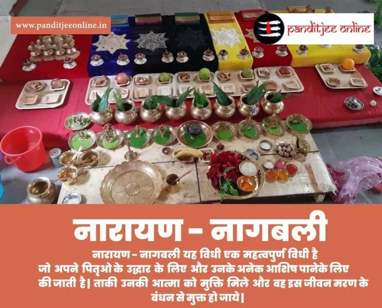 Narayanbali Pitrushraddh Vidhi 1 Narayanbali Pitrushraddh Vidhi