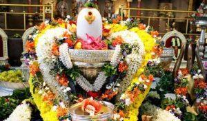 Rudra Havan 1 Rudra Havan
